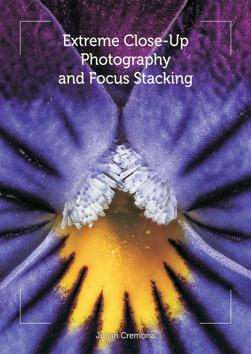 Extreme Close-Up Photography and Focus Stacking - image 1