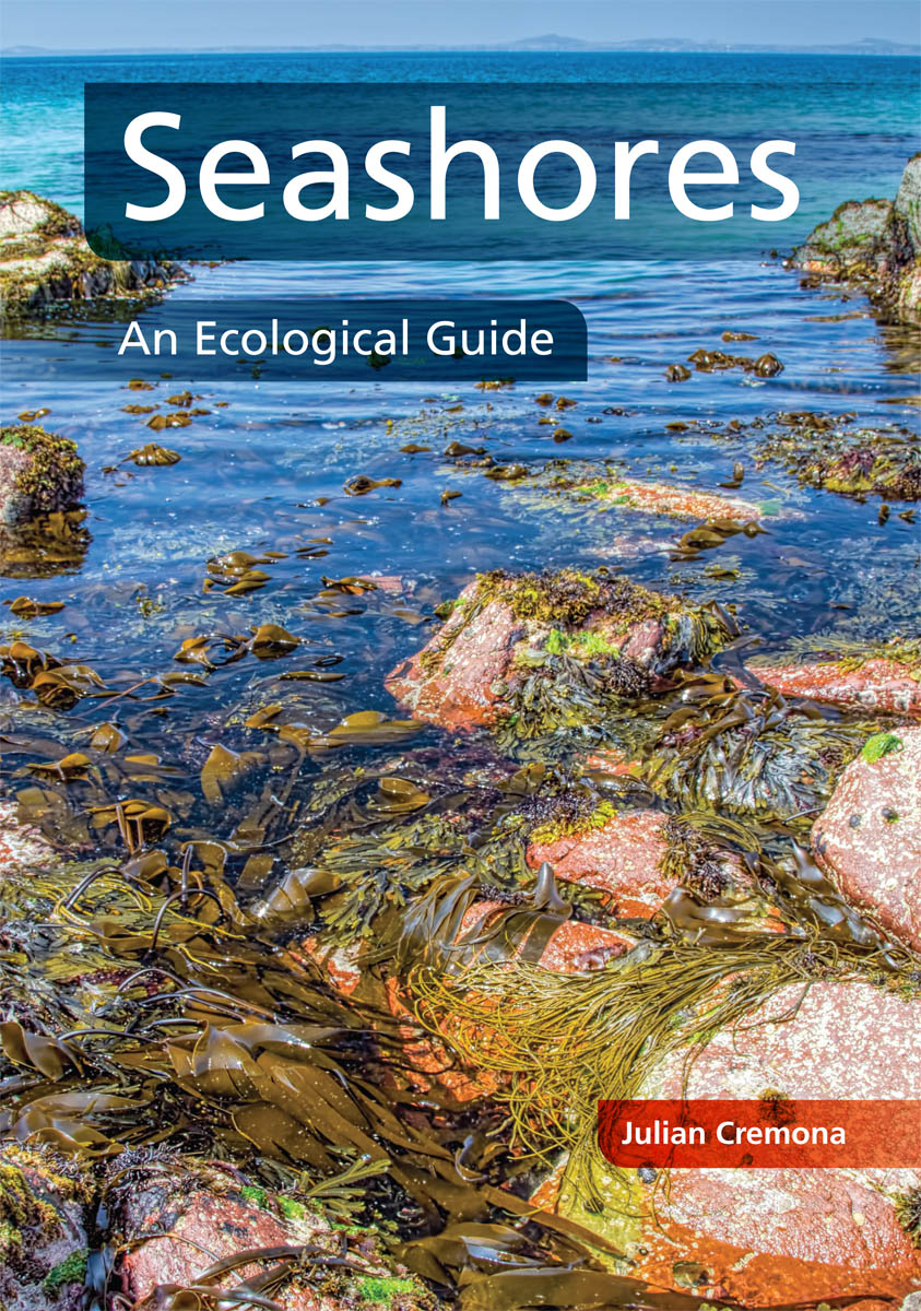 Seashores an ecological guide - image 1