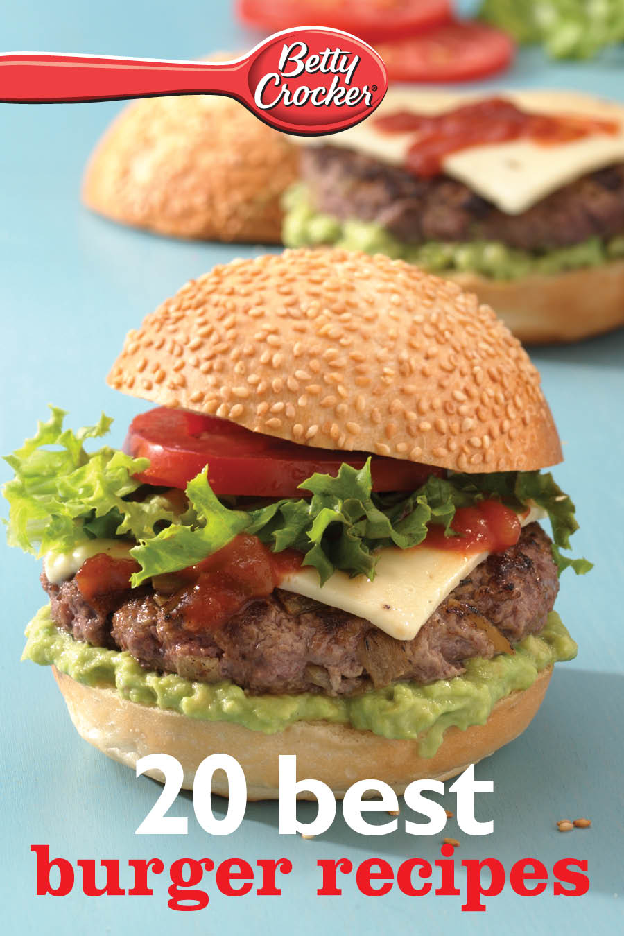 20 Best Burger Recipes Houghton Mifflin Harcourt Boston New York 2014 - photo 1