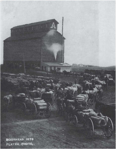 Wheat arriving at a Moorhead Minnesota elevator in 1879 Farmers brought - photo 11