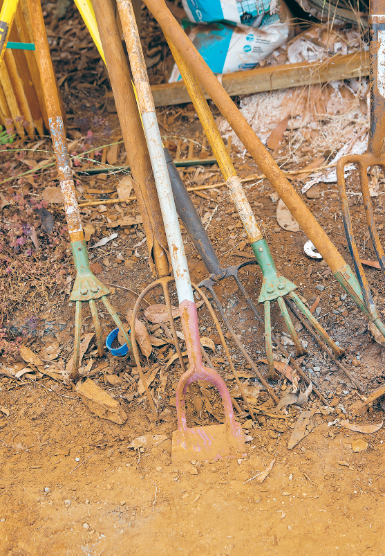 Root vegetables and rhizomes are some of our oldest and most nutritious - photo 12