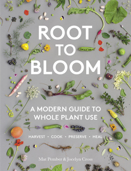 Cross Jocelyn - Root to bloom: a modern guide to whole plant use: harvest, cook, preserve, heal