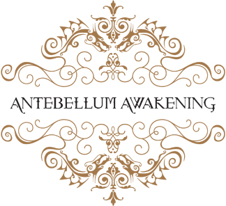 Antebellum Awakening - image 5