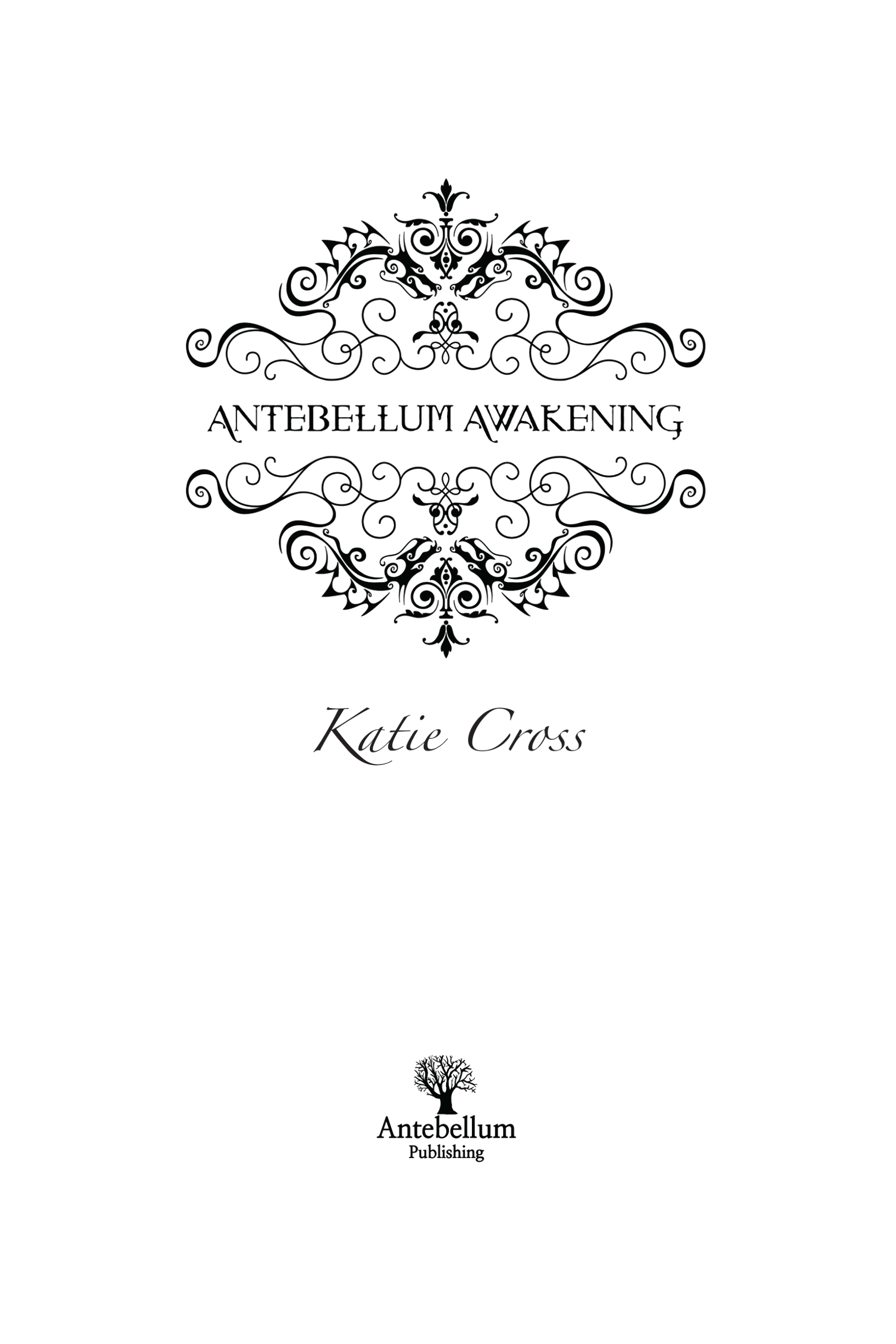 Antebellum Awakening Young Adult Fantasy Text copyright 2014 by Katie Cross - photo 2