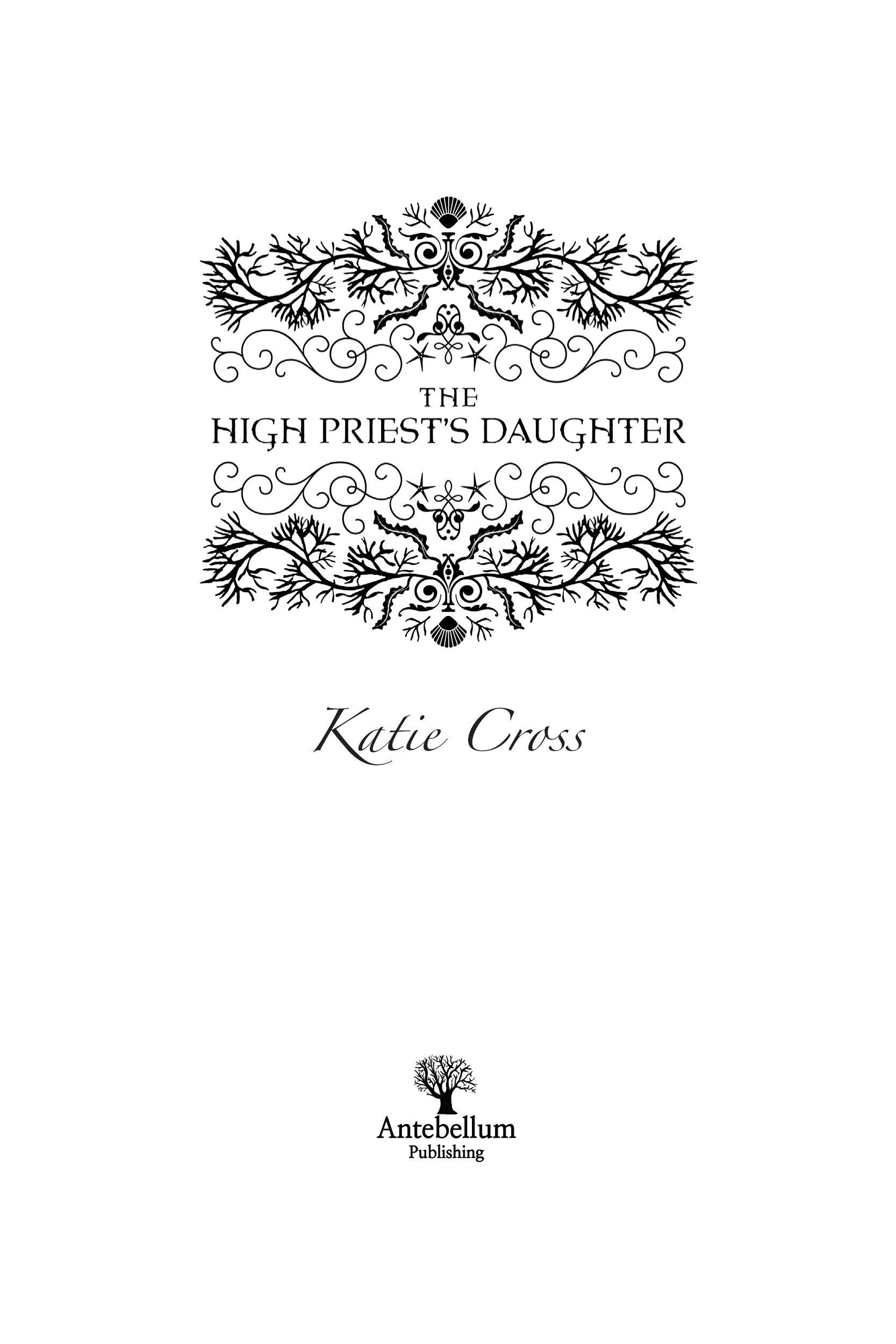 The High Priests Daughter Young Adult Fantasy Text copyright 2015 by Katie - photo 2