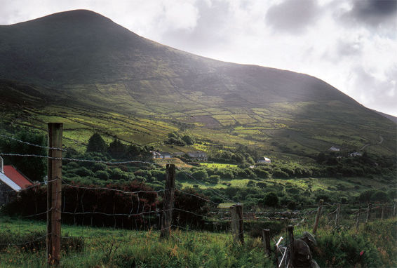 The rolling hills of County Kerry STARTERS Fishing boats at Dingle - photo 6