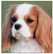 The ever-popular red and white Cavalier called the Blenheim received its name - photo 5