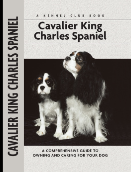 Cunliffe Cavalier King Charles Spaniel