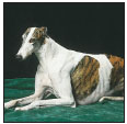 Learn to recognize and handle common behavioral problems in your Greyhound - photo 12