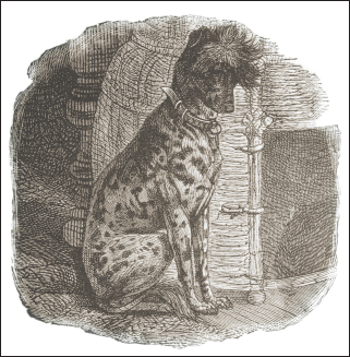 An engraving of a Chinese Crested Dog in the 19th century The bitch portrayed - photo 5