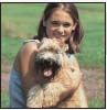 Soft Coat Wheaten Terrier - image 4