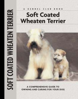 Cunliffe Juliette - Soft Coat Wheaten Terrier