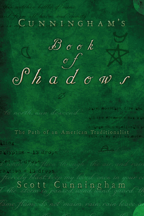 About This Book The basis for this Book of Shadows is an unfinished - photo 1