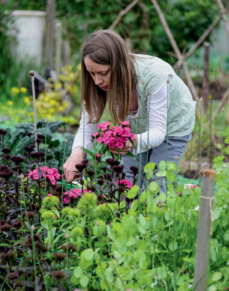 At first I did this in raised beds in my back garden and then when I took on - photo 6