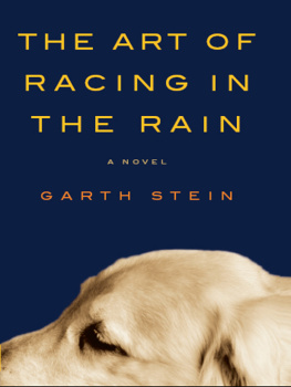 Garth Stein The Art of Racing in the Rain