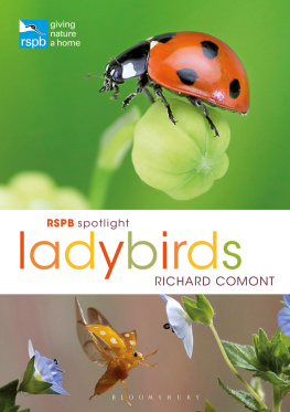 Richard Comont - RSPB Spotlight Ladybirds