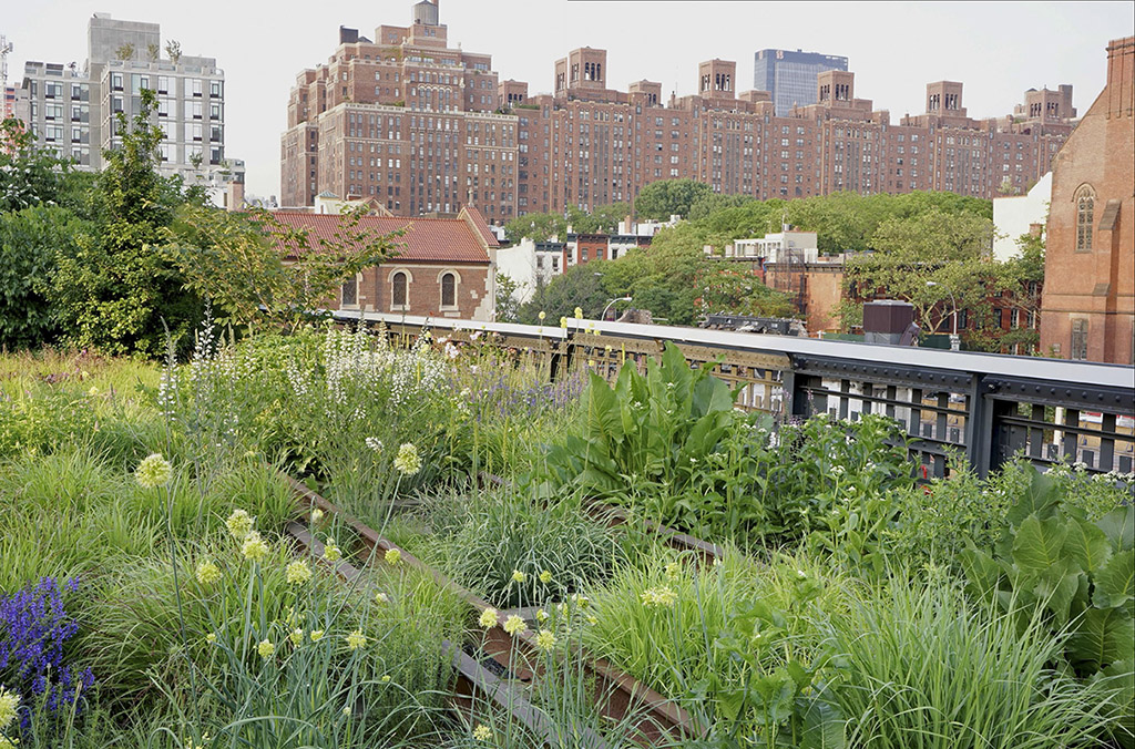 GARDENS OF THE HIGH LINE ELEVATING THE NATURE OF MODERN LANDSCAPES Piet Oudolf - photo 2