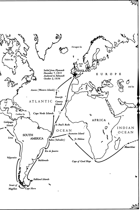 Darwin had been attracted to the study of natural history since childhood and - photo 3