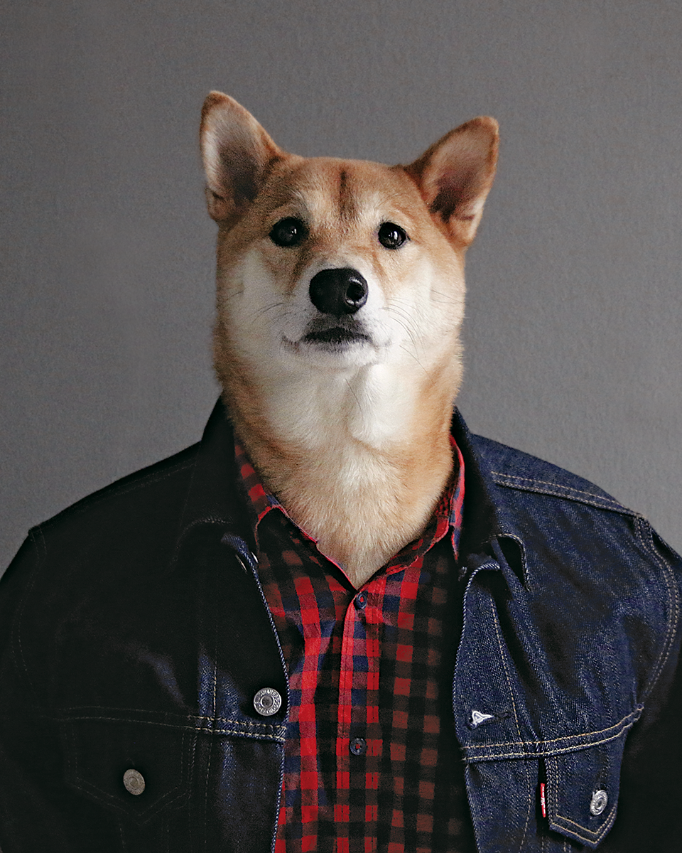 Menswear Dog presents the new classics fresh looks for the modern man - image 13