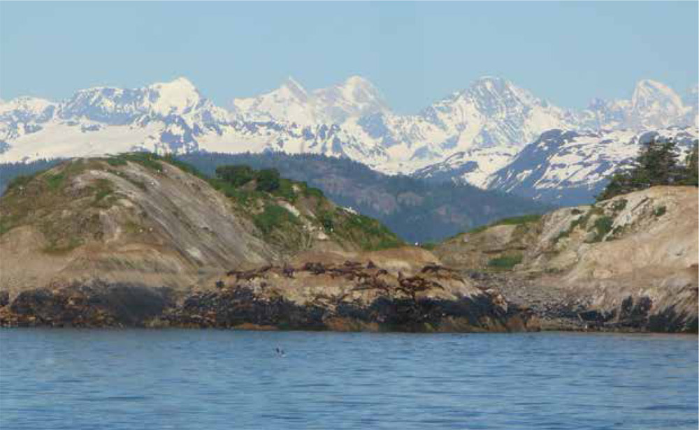 Glacier Bay Lodge 179 Bartlett Cove Gustavus AK 99826 907 697-4000 - photo 2