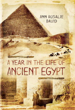 David - A Year in the Life of Ancient Egypt