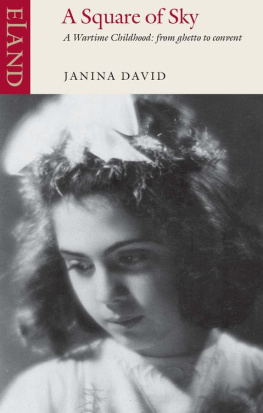 David - A Square of Sky: a Jewish Childhood in Wartime Poland