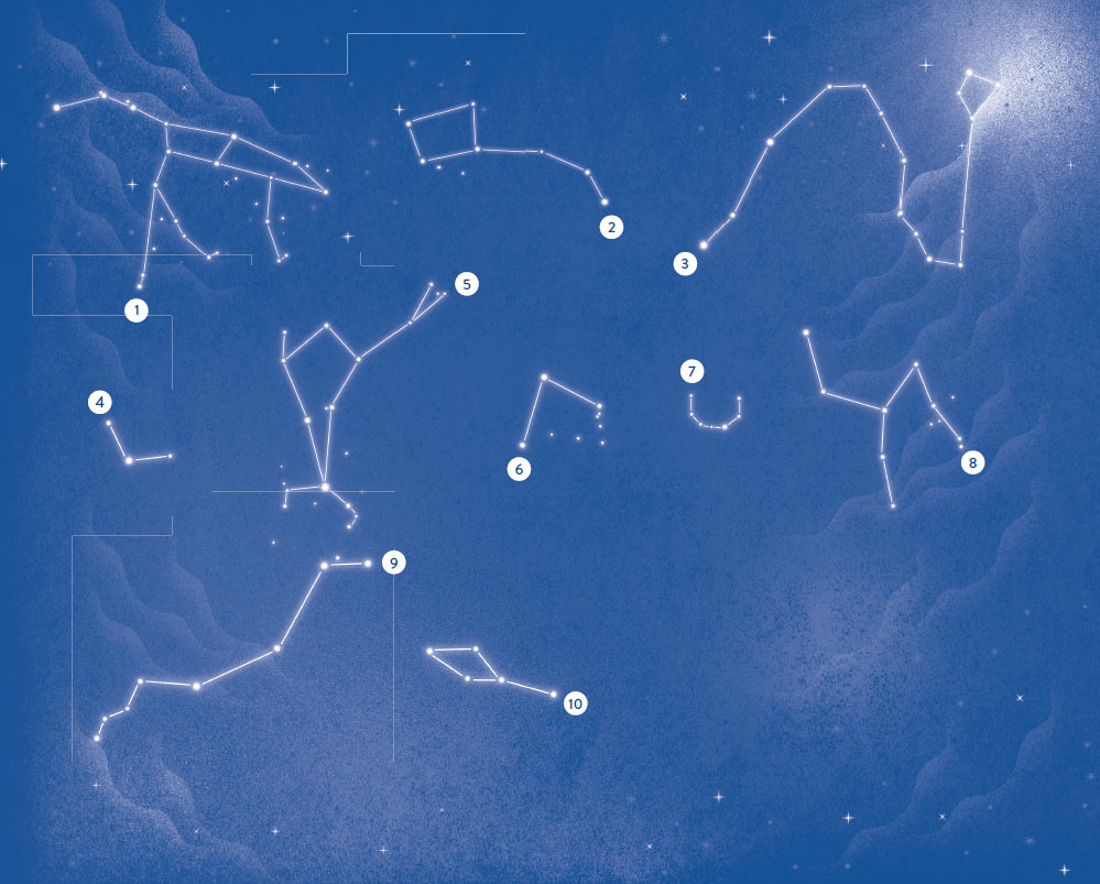 URSA MAJOR FAMILY URSA MAJOR LOCATION Second quadrant of the - photo 5