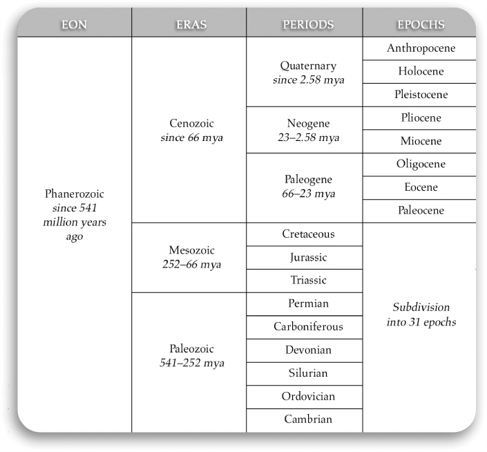 Figure 1 Phanerozoic eon Geological epochs such as the proposed Anthropocene - photo 3