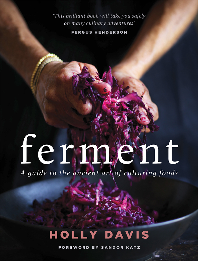 With Hollys guidance and inspiration you can become part of the fermentation - photo 1