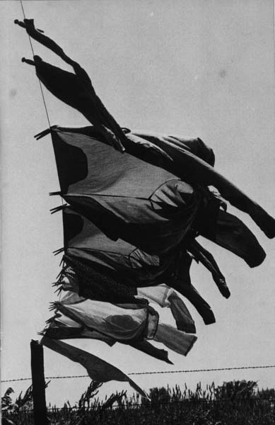 Clothes drying in the wind near Independence Boys standing in raindrops - photo 11