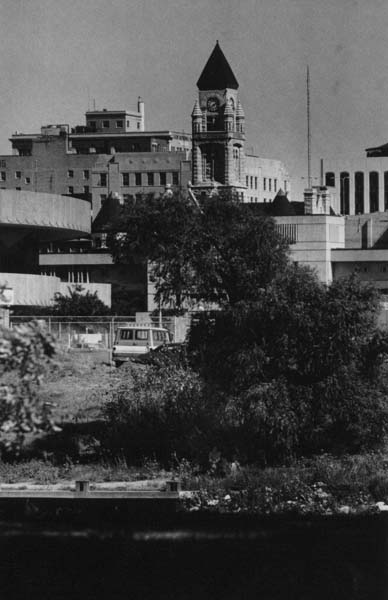 Downtown Wichita Cathedral of the Plains Victoria Cattle on the - photo 8