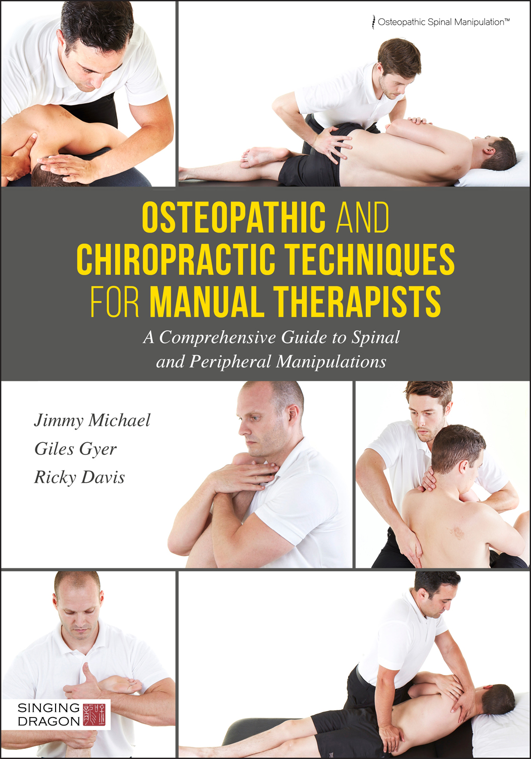 Osteopathic and Chiropractic Techniques for Manual Therapists A Comprehensive - photo 1