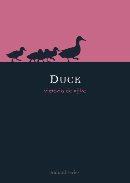 De Rijke - Duck