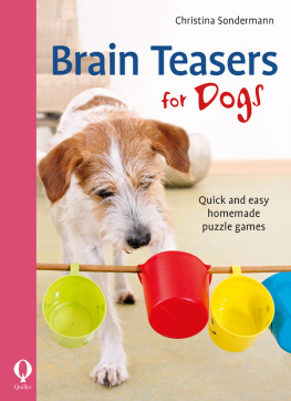 De Ritter Joanna - Brain teasers for dogs: quick and easy homemade puzzle games