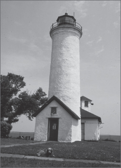 Caesar the friendly pet of the site manager at Tibbetts Point Lighthouse - photo 5