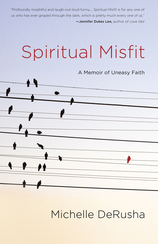 Praise for Spiritual Misfit This book is profoundly insightful and - photo 1