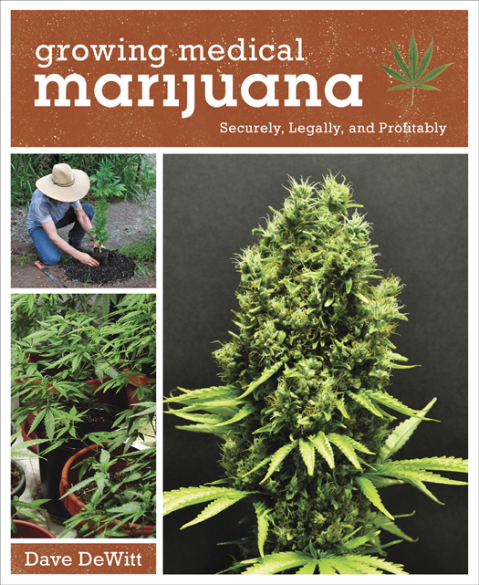 This book contains general information on growing cannabis which is a contr - photo 1