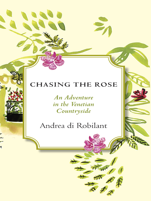 Chasing the Rose An Adventure in the Venetian Countryside - image 1