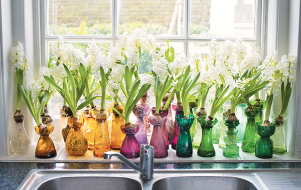 A rainbow of antique glass vases is arrayed across Jeroens windowsill each - photo 8