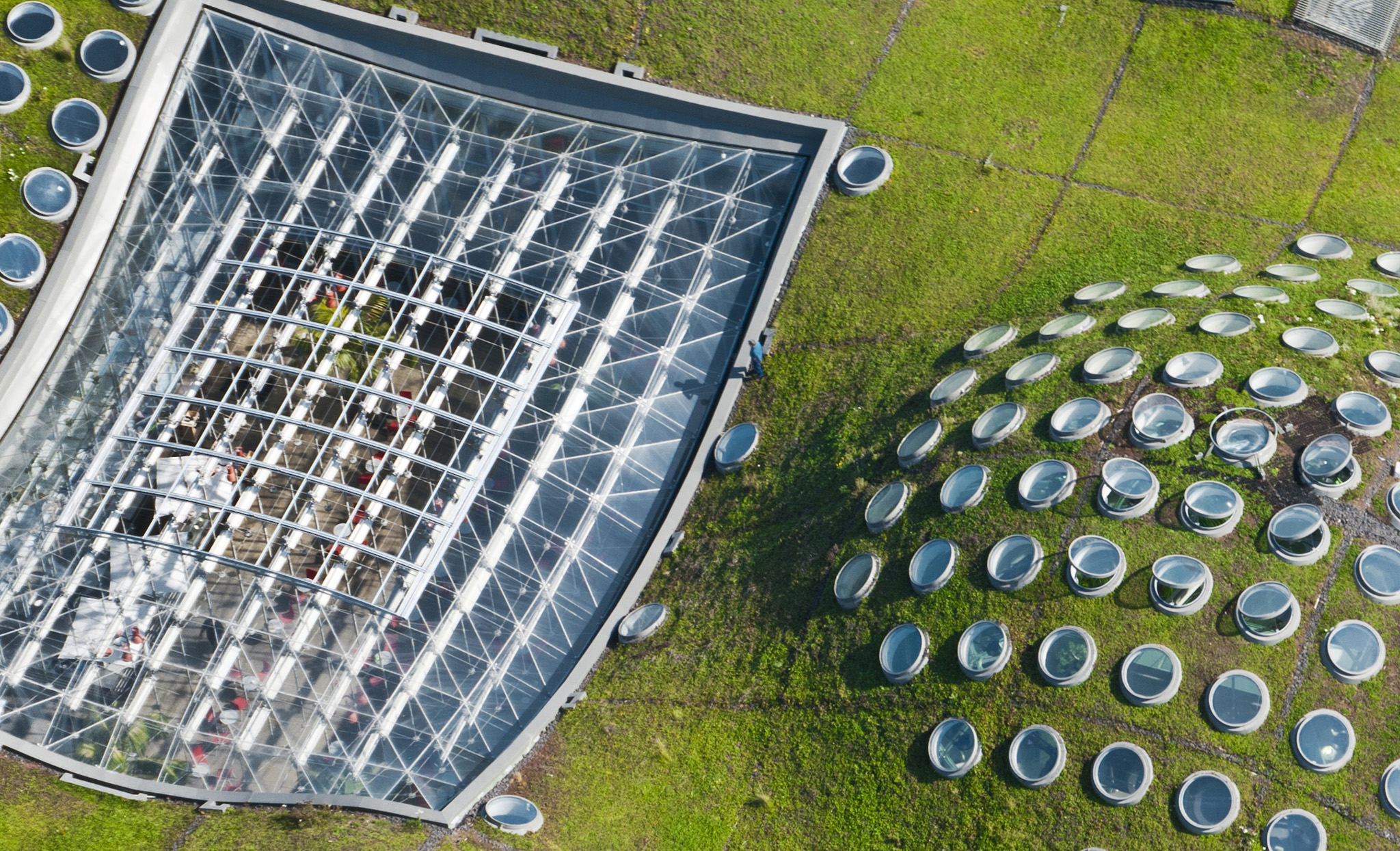 The living roof of the California Academy of Sciences Top 10 San Francisco - photo 7