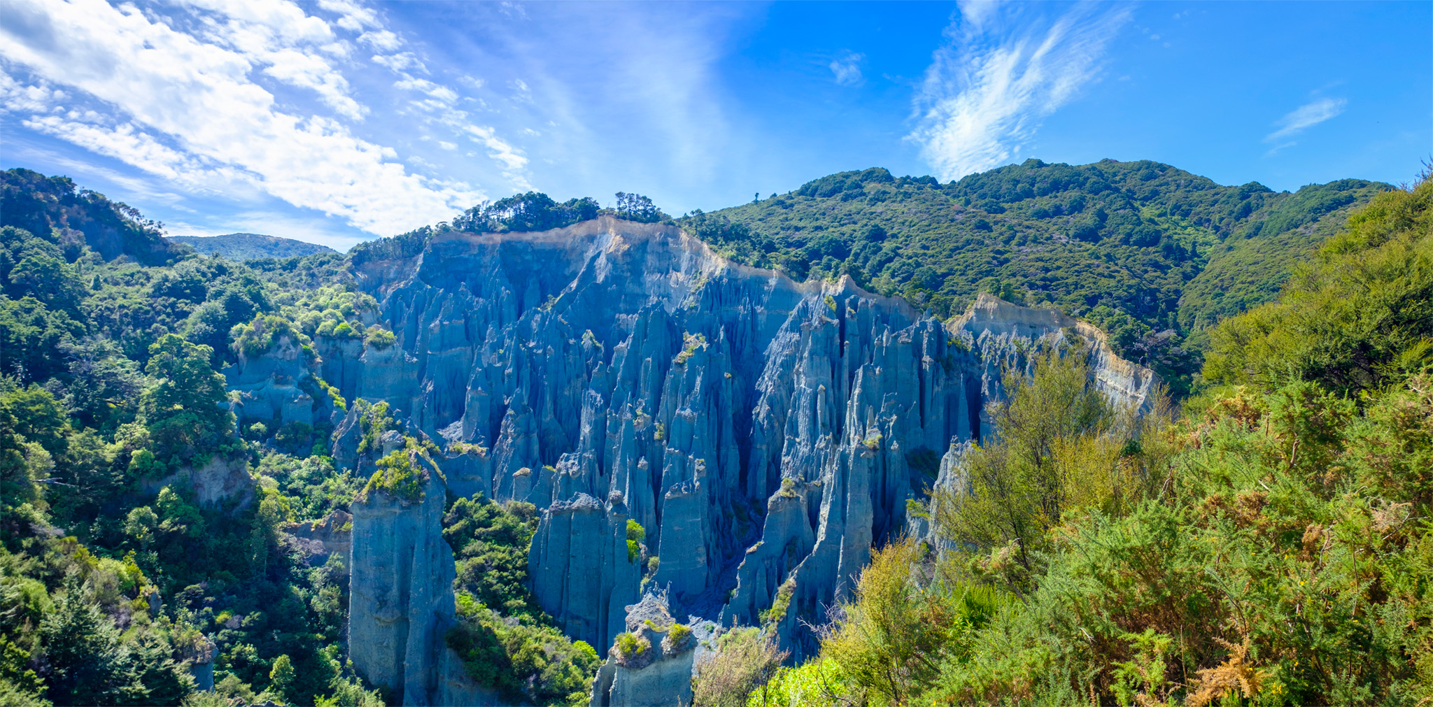 t Wonderfully wild New Zealand boasts awe-inspiring scenery whether its dense - photo 9