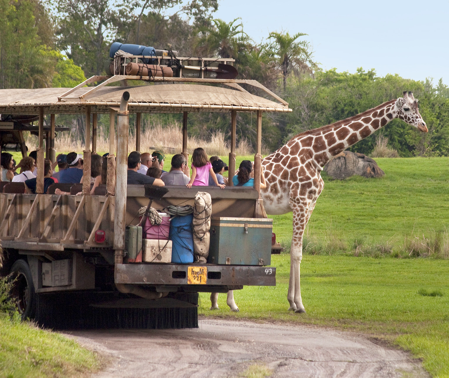 The Kilimanjaro Safari in Disneys Animal Kingdom Famously known as the Sunshine - photo 3