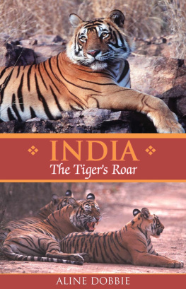 Dobbie India: the tigers roar