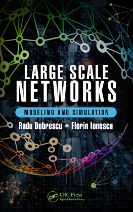 Dobrescu Radu - Large scale networks: modeling and simulation