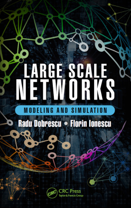 Dobrescu Radu Large scale networks: modeling and simulation