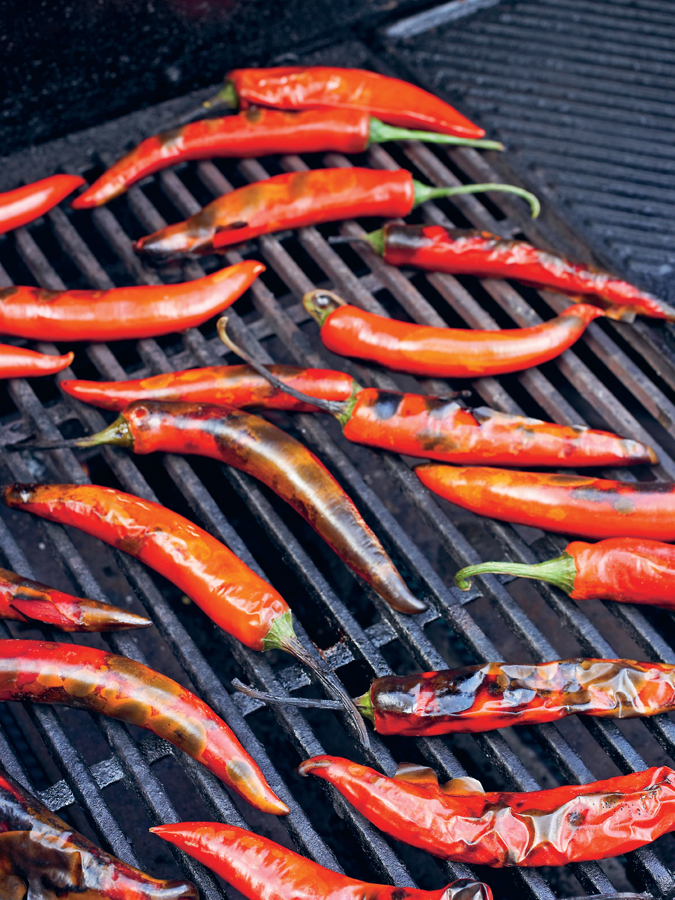 A FEW SIMPLE HOT TIPS YOUR FOOD Preheat the barbecue before cooking You want - photo 6