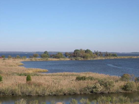 View of Chesapeake Bay Maryland Frederick Douglass was born into slavery on - photo 14