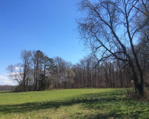 Likely site of Douglass birthplace between Tappers Corner and the Tuckahoe - photo 15