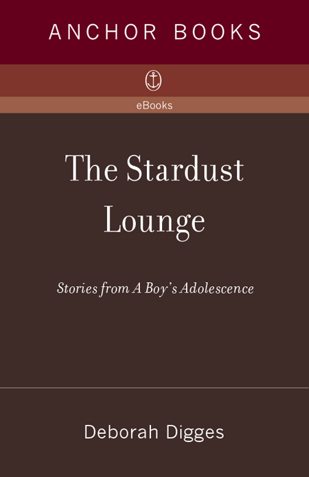 Acclaim for Deborah Diggess The Stardust Lounge The Stardust Lounge is - photo 1