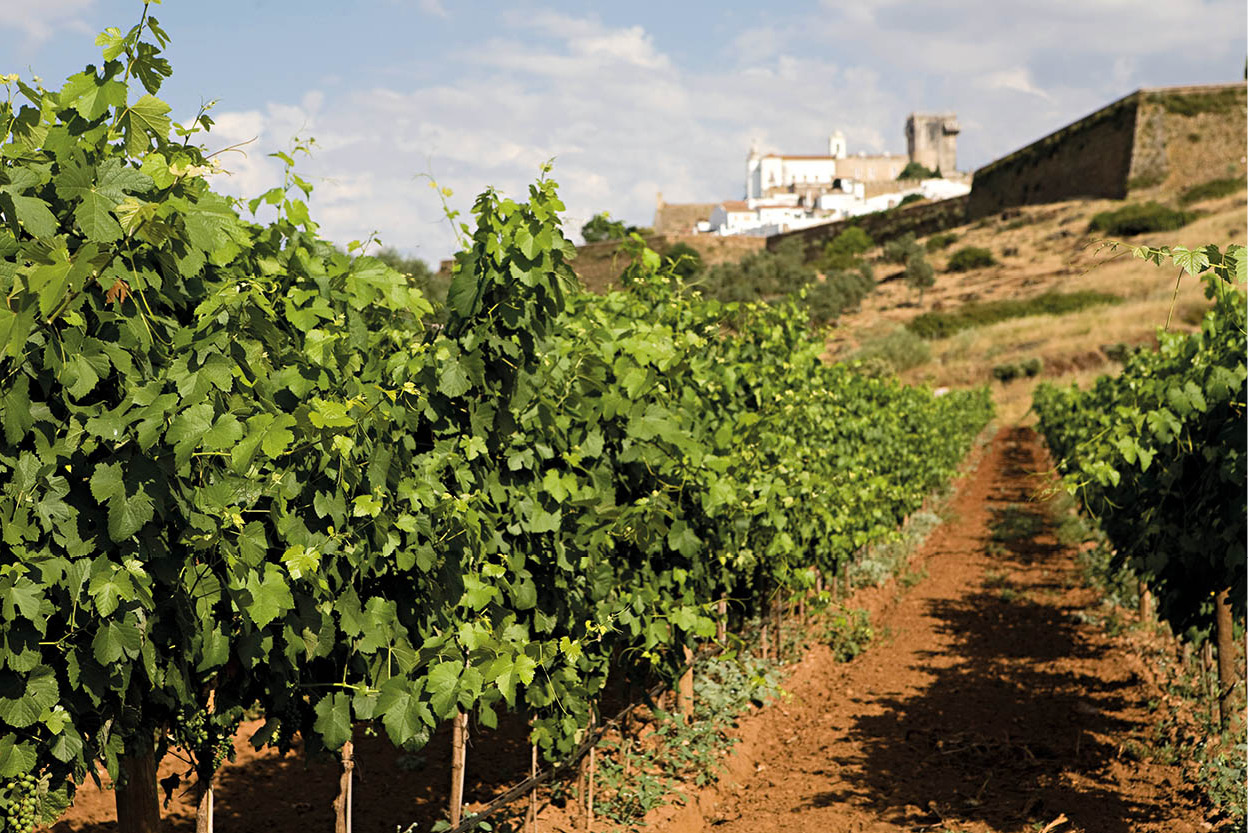 The Alentejo Wine Route This route offers a chance to explore the ancient - photo 13